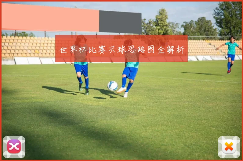 世界杯比赛买球思路图全解析