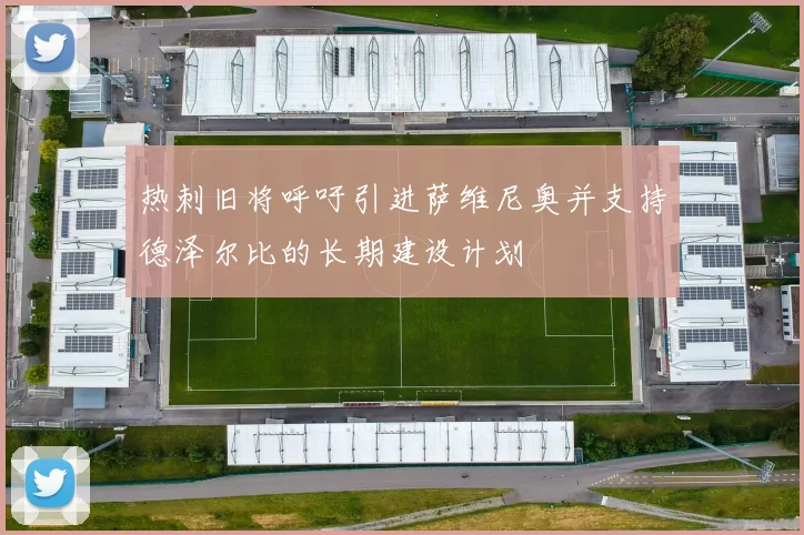 热刺旧将呼吁引进萨维尼奥并支持德泽尔比的长期建设计划