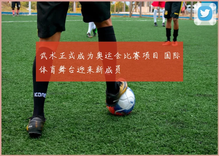 武术正式成为奥运会比赛项目 国际体育舞台迎来新成员