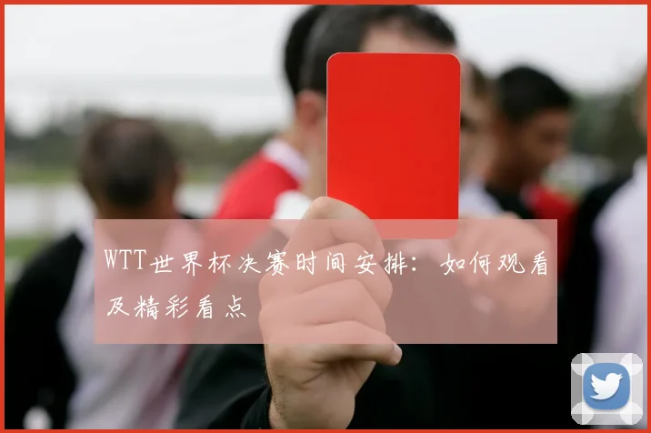 WTT世界杯决赛时间安排：如何观看及精彩看点