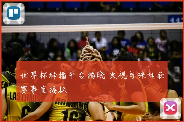 世界杯转播平台揭晓 央视与咪咕获赛事直播权