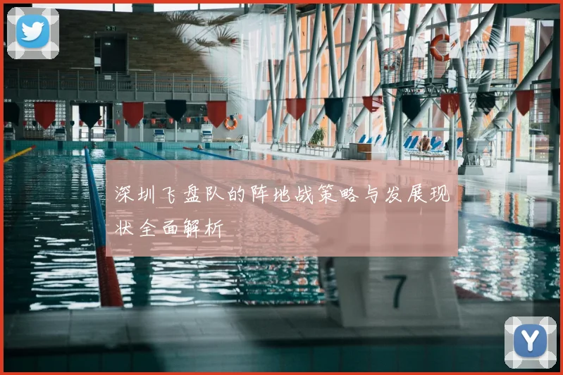 深圳飞盘队的阵地战策略与发展现状全面解析