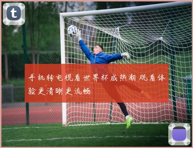 手机转电视看世界杯成热潮 观看体验更清晰更流畅