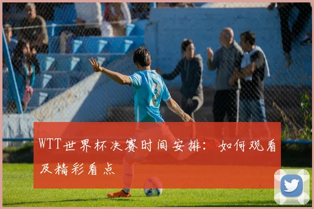 WTT世界杯决赛时间安排：如何观看及精彩看点