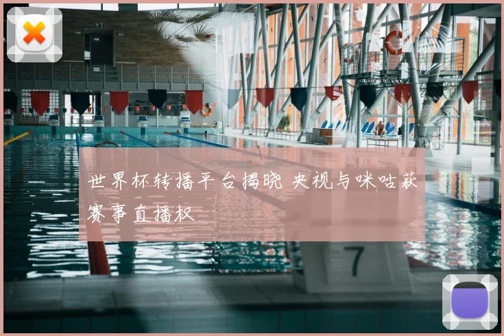 世界杯转播平台揭晓 央视与咪咕获赛事直播权