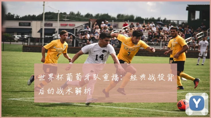 世界杯葡萄牙队重播:经典战役背后的战术解析