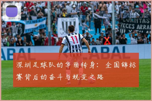 深圳足球队的华丽转身:全国锦标赛背后的奋斗与蜕变之路